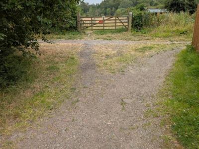 Picture 25